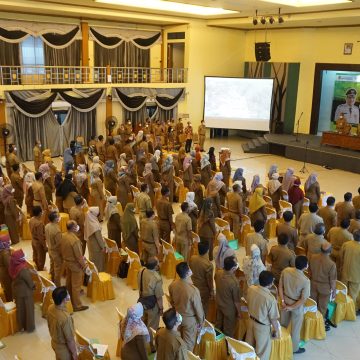 2-19 (Video) Sosialisasi Kapasitas Jabatan Fungsional Pasca Penyetaraan Jabatan