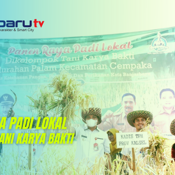 Hijau Neon Gradasi Kebugaran Thumbnail YouTube (40) (Video) Panen Raya Padi Lokal Kelompok Tani Karya Bakti
