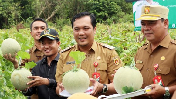 Panen Melon, Bukti Urban Farming Berjalan Dengan Baik