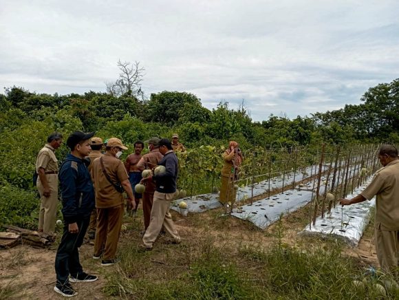 Berkat RT Mandiri, Usaha Warga Cempaka Berkembang Pesat