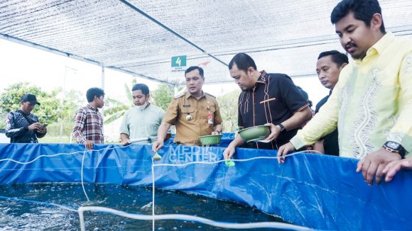 Sistem Bioflok, Urban Farming Banjarbaru Juara