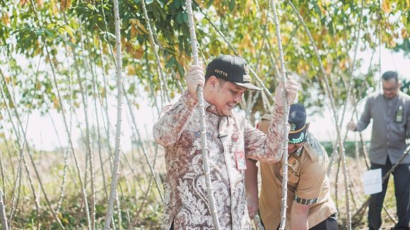 Aditya Panen Raya Singkong, Buah Hasil Program RT Mandiri