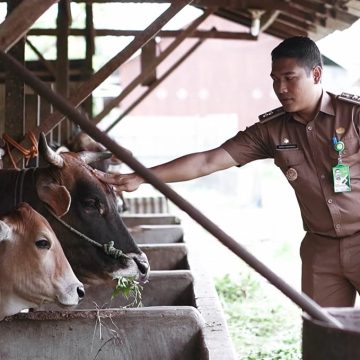 Guntung Manggis Raih Terbaik 1 Lomba Kelurahan Tingkat Kalsel