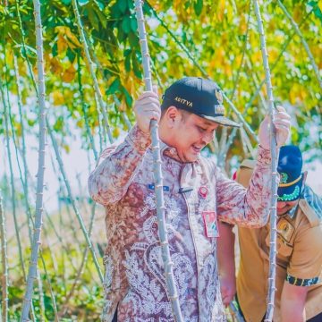 Dream City, Banjarbaru Masuk 10 Kota Paling Berkelanjutan se – Indonesia