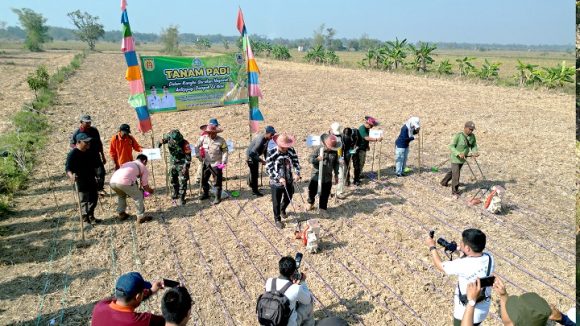 Aditya : Dengan Adanya Tanam Padi Kebutuhan Pasokan Pangan Terpenuhi Sehingga Tidak Ada Kenaikan Harga Lagi.