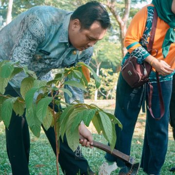 Peringati Hari Menanam Pohon, Banjarbaru Tanam 1000 Pohon