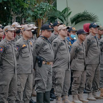 SATPOL PP Banjarbaru Bongkar Kandang Babi Tidak Berijin