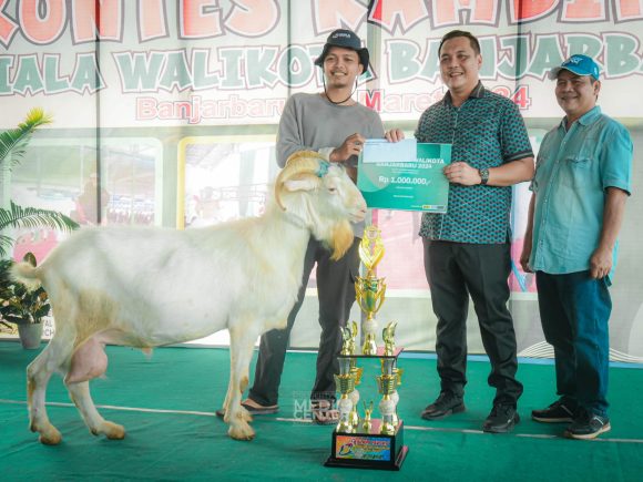 Gelar Kontes Kambing, Upaya Banjarbaru Menjadi Pusat Ternak Unggulan