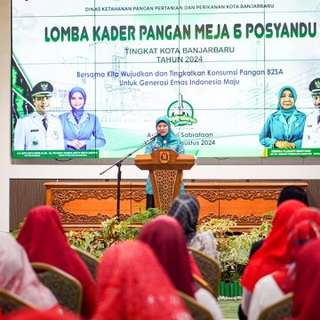 bjbtv MCB09339_e Kualitas SDM Kader Posyandu se – Kota Banjarbaru ditingkatkan melalui Lomba