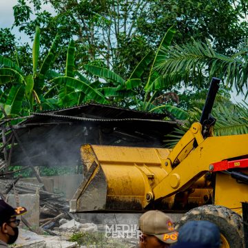 Serius Tegakkan Perda, Pemko Banjarbaru Bongkar Kandang Babi Ilegal di Guntung Manggis