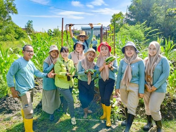 Pegawai BPP Liang Anggang Panen Timun Organik di Lahan Samping Kantor