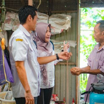 Monitoring ke Kelompok Tani, Penyuluh ingin Petani dan Peternak Terus Berkembang dan Menghasilkan