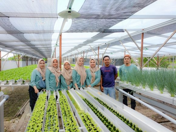 Petani Milenial Laura Ajak Generasi Muda untuk Bertani