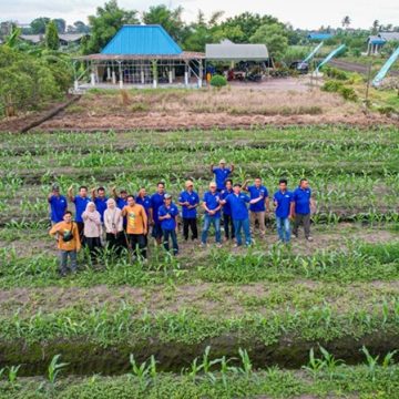Tingkatkan Keberhasilan Panen, BPP Liang Anggang Rutin adakan Pertemuan dengan Petani