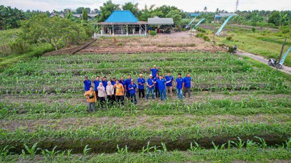 Tingkatkan Keberhasilan Panen, BPP Liang Anggang Rutin adakan Pertemuan dengan Petani