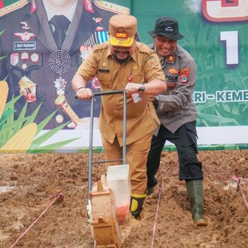 Dukung Swasembada Pangan Nasional, Banjarbaru siapkan 25,8 Hektar Lahan