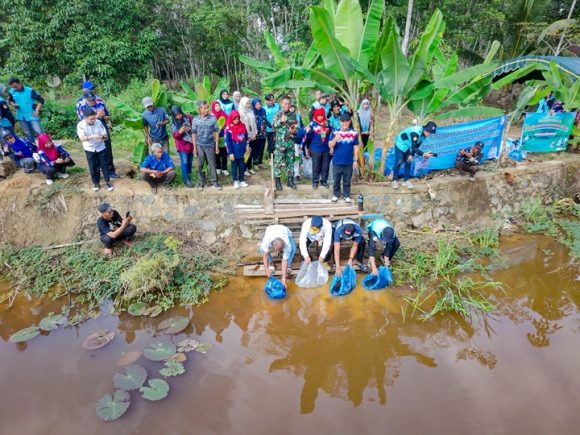 Kolaborasi DKP3 dan ULM, Embung Batu Kapur Kembali Diperkaya Ikan Lokal.