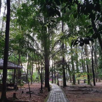 Hutan Pinus Mentaos, Wisata Alam Alternatif di Tengah Kota Banjarbaru