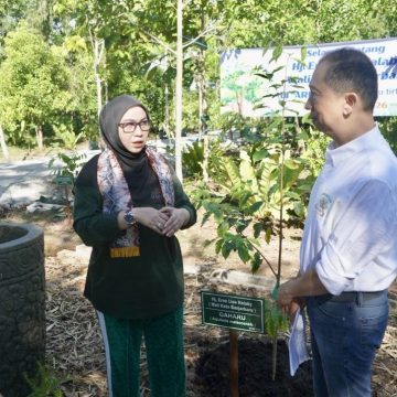 Tanam Pohon Gaharu, Wali Kota Lisa Gaungkan Gerakan Perempuan Penjaga Lingkungan