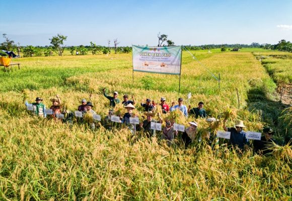 Panen Melimpah di Bangkal, Banjarbaru Tancap Gas Wujudkan Swasembada Pangan