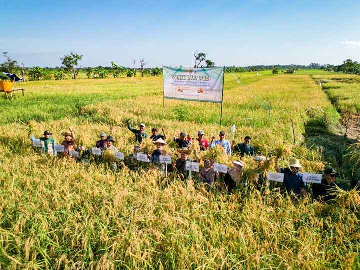 default Panen Melimpah di Bangkal, Banjarbaru Tancap Gas Wujudkan Swasembada Pangan