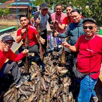 Bukan Sekadar Lomba, Festival Ikan Sapu-Sapu Banjarbaru Angkut 2,4 Ton Ikan Invasif dari Sungai Kemuning