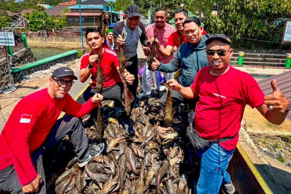 Bukan Sekadar Lomba, Festival Ikan Sapu-Sapu Banjarbaru Angkut 2,4 Ton Ikan Invasif dari Sungai Kemuning