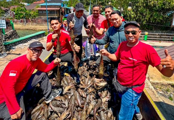 Bukan Sekadar Lomba, Festival Ikan Sapu-Sapu Banjarbaru Angkut 2,4 Ton Ikan Invasif dari Sungai Kemuning